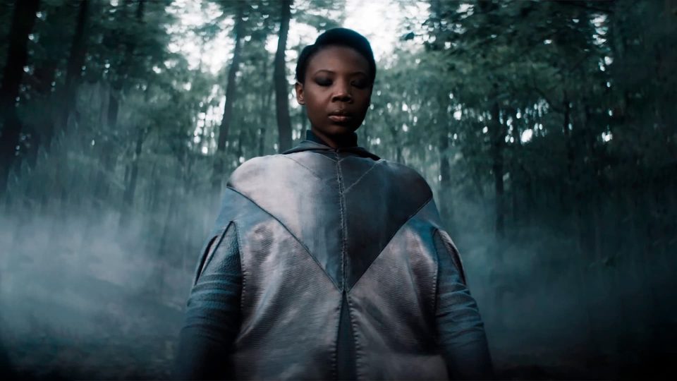 Чародейка из «Ведьмака»